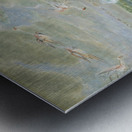 Flamingo Shooting in South America 1856 Metal print