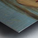 Sioux Worshiping At The Red Boulders 1837-1839 Metal print