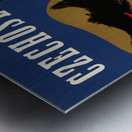 Czechoslovaks Carry On Metal print