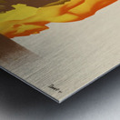 Take a Pride in Being Fighting Fit Metal print