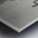 The Effects of Over-Cooking and Keeping Hot  Metal print