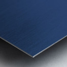 High Adventure 1907 by Edward Penfield Metal print