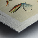 Mary Orvis Marbury 027 Metal print