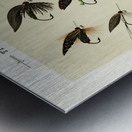 Trout Flies  Metal print