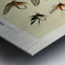 Trout Flies  Metal print