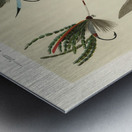 Lake Flies Metal print