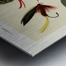 Bass Flies  Metal print