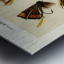 Salmon Flies  Metal print