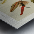 Bass Flies  Metal print