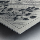 Lake Flies  Metal print