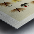 Hackles  Metal print