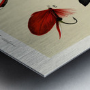 Bass Flies  Metal print