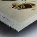 Trout & Bass Flies  Metal print