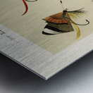 Trout & Bass Flies  Metal print