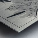 Brown Stone-flies  Metal print