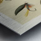 Lake Flies  Metal print