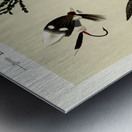 Bass Flies  Metal print