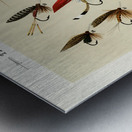 Trout Flies  Metal print