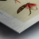 Lake Flies  Metal print