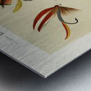 Lake Flies  Metal print