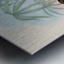 John Gould trogons 006 Metal print