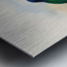 John Gould trogons 031 Metal print