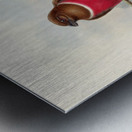 John Gould trogons 047 Metal print