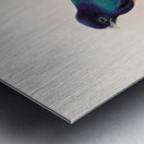 John Gould trogons 030 Metal print