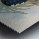 John Gould trogons 007 Metal print