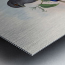 John Gould trogons 018 Metal print