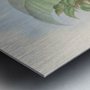 John Gould trogons 012 Metal print