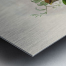 John Gould trogons 040 Metal print