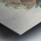 John Gould trogons 026 Metal print