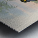 John Gould trogons 010 Metal print