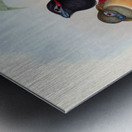 John Gould trogons 023 Metal print