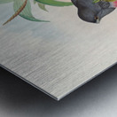 John Gould trogons 017 Metal print