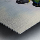 John Gould trogons 009 Metal print