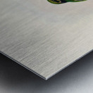 John Gould trogons 039 Metal print