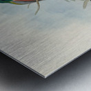 John Gould trogons 043 Metal print