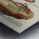 Colourful and surreal illustrations of fishes found in Moluccas Indonesia and the East Indies by Louis Renard 1678 -1746 from Histoire naturelle des plus rares curiositez de la mer des Indes 1754. Metal print