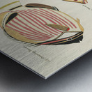 Colourful and surreal illustrations of fishes found in Moluccas Indonesia and the East Indies by Louis Renard 1678 -1746 from Histoire naturelle des plus rares curiositez de la mer des Indes 1754. Metal print