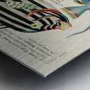 Colourful and surreal illustrations of fishes found in Moluccas Indonesia and the East Indies by Louis Renard 1678 -1746 from Histoire naturelle des plus rares curiositez de la mer des Indes 1754. Metal print