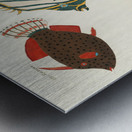 Colourful and surreal illustrations of fishes found in Moluccas Indonesia and the East Indies by Louis Renard 1678 -1746 from Histoire naturelle des plus rares curiositez de la mer des Indes 1754. Metal print