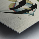 Colourful and surreal illustrations of fishes found in Moluccas Indonesia and the East Indies by Louis Renard 1678 -1746 from Histoire naturelle des plus rares curiositez de la mer des Indes 1754. Metal print