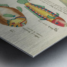 Colourful and surreal illustrations of fishes found in Moluccas Indonesia and the East Indies by Louis Renard 1678 -1746 from Histoire naturelle des plus rares curiositez de la mer des Indes 1754. Metal print