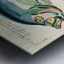 Colourful and surreal illustrations of fishes found in Moluccas Indonesia and the East Indies by Louis Renard 1678 -1746 from Histoire naturelle des plus rares curiositez de la mer des Indes 1754. Metal print