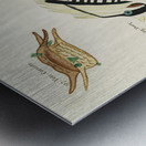 Colourful and surreal illustrations of fishes found in Moluccas Indonesia and the East Indies by Louis Renard 1678 -1746 from Histoire naturelle des plus rares curiositez de la mer des Indes 1754. Metal print