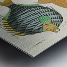 Colourful and surreal illustrations of fishes found in Moluccas Indonesia and the East Indies by Louis Renard 1678 -1746 from Histoire naturelle des plus rares curiositez de la mer des Indes 1754. Metal print