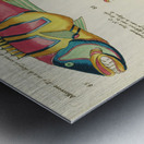 Colourful and surreal illustrations of fishes found in Moluccas Indonesia and the East Indies by Louis Renard 1678 -1746 from Histoire naturelle des plus rares curiositez de la mer des Indes 1754. Metal print