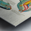 Colourful and surreal illustrations of fishes found in Moluccas Indonesia and the East Indies by Louis Renard 1678 -1746 from Histoire naturelle des plus rares curiositez de la mer des Indes 1754. Metal print